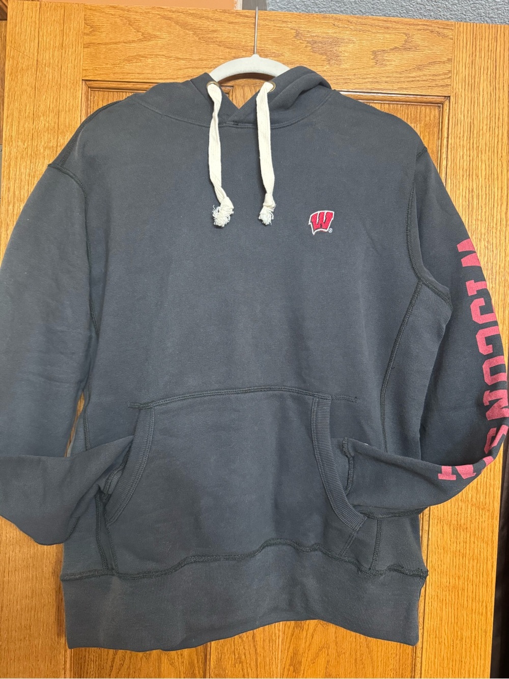 Wisconsin Hooded Sweatshirt -l
